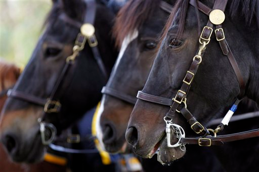 Phillyhorsestables2 10445703