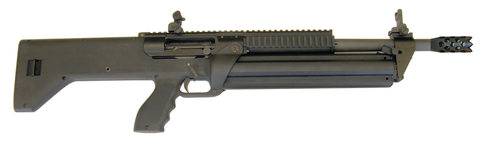 Nextgenshotgun 10534379