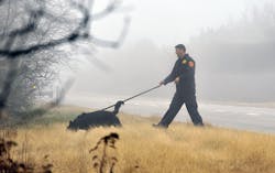 Nybeachsearch 10476245 Nybeachsearch 10476245