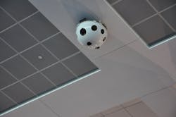 1926isiscloseup 10616492 1926isiscloseup 10616492