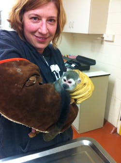 Assistant Curator of Primates at the San Francisco Zoo, holds Banana-Sam during his physical examination on New Year’s Eve night. Assistant Curator of Primates at the San Francisco Zoo, holds Banana-Sam during his physical examination on New Year’s Eve night.
