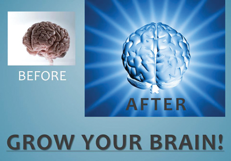 Growyourbrain 10595039