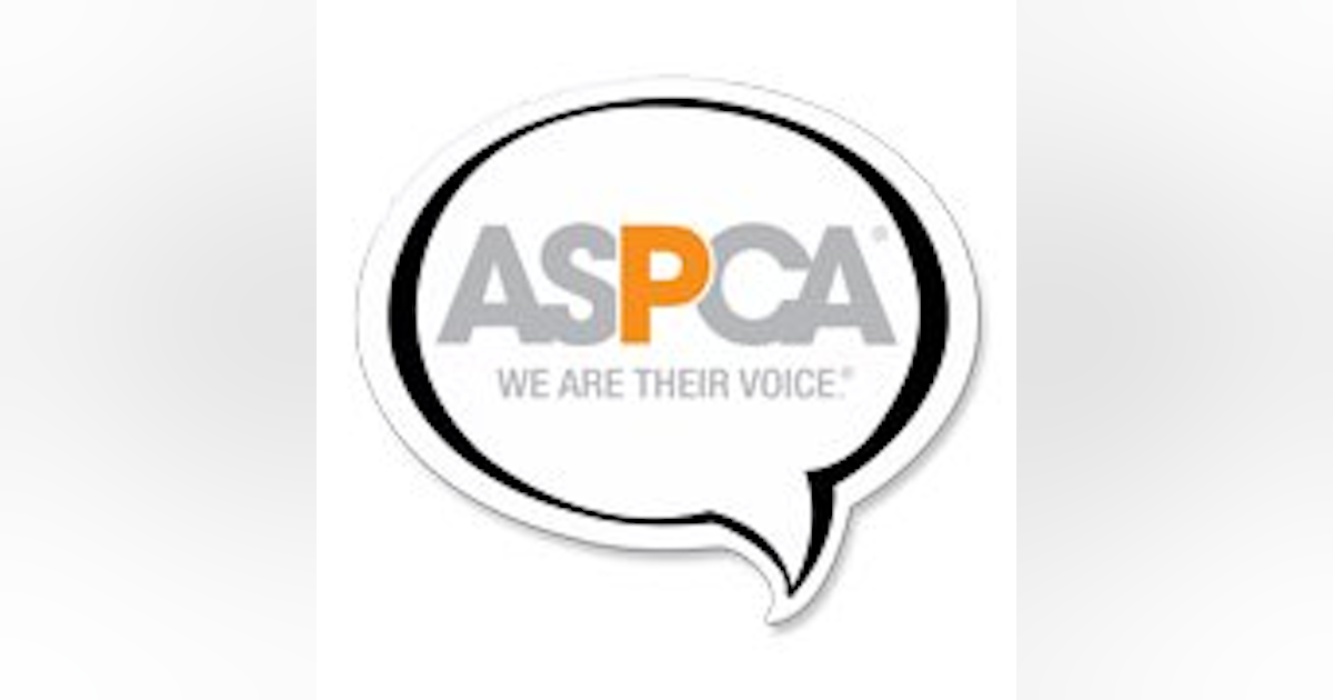 American Society For The Prevention Of Cruelty To Animals Aspca Officer