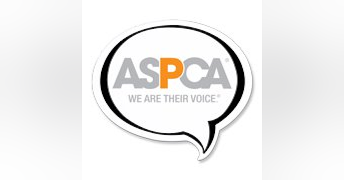 American Society For The Prevention Of Cruelty To Animals Aspca Officer American Society For The Prevention Of Cruelty To Animals Aspca Officer