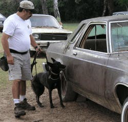 Drugdogs2 10629109 Drugdogs2 10629109