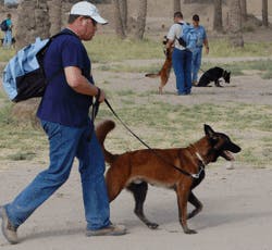 K9siniraq4 10629182 K9siniraq4 10629182