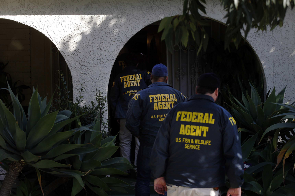 Rhinosmuggling 10633015