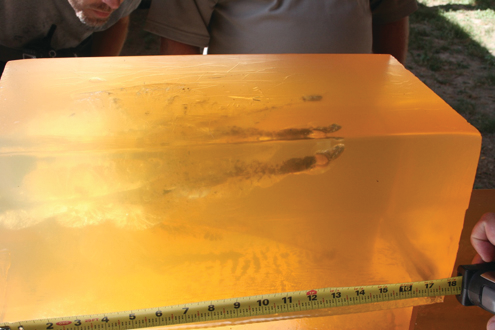 The Segmented Slug comes apart on impact. The penetration depth in 10 percent gelatin was right around 15 inches.