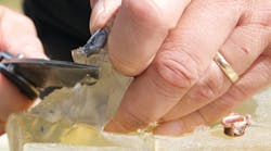 13 10710634 13 10710634