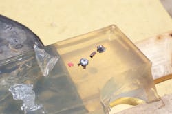 Recovered from bare gelatin left to right: Hornady Critical Defense 9mm FTX, Hornady Critical Defense 22 WMR, Winchester RA9BA. Recovered from bare gelatin left to right: Hornady Critical Defense 9mm FTX, Hornady Critical Defense 22 WMR, Winchester RA9BA.