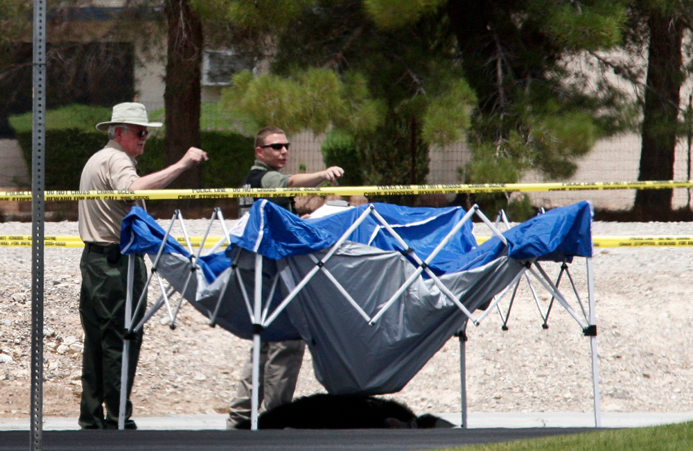 The body of a male chimpanze lies on the ground after being shot by police in Las Vegas, Nev., Thursday, July 12, 2012. Las Vegas Metro Police shot two chimpanzees on the loose killing one and tranquilizing the other. Metro spokesman Officer Marcus Martin said the chimp that was killed was shot by an officer after it appeared the chimp was headed toward residents, including children, who had come outside to watch the chase.