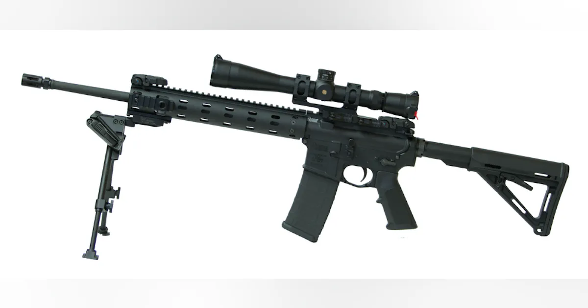 Designated Marksman Package (DMP) | Officer