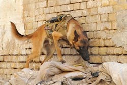 Mwd1 10760259 Mwd1 10760259