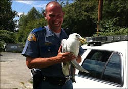 Trooper Bart Maupin and his feathered partner share a moment after helping catch a fleeing motorist.