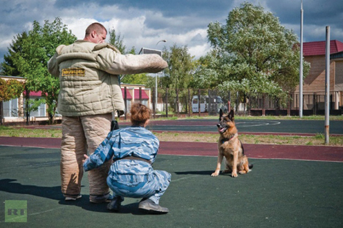 Will your K9 sit watch while you frisk a subject?