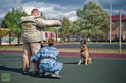 Will your K9 sit watch while you frisk a subject? Will your K9 sit watch while you frisk a subject?