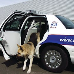 Keeping the in-car kennel clean daily is vital! Keeping the in-car kennel clean daily is vital!