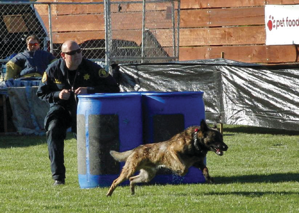 Selecting the handler is crucial...