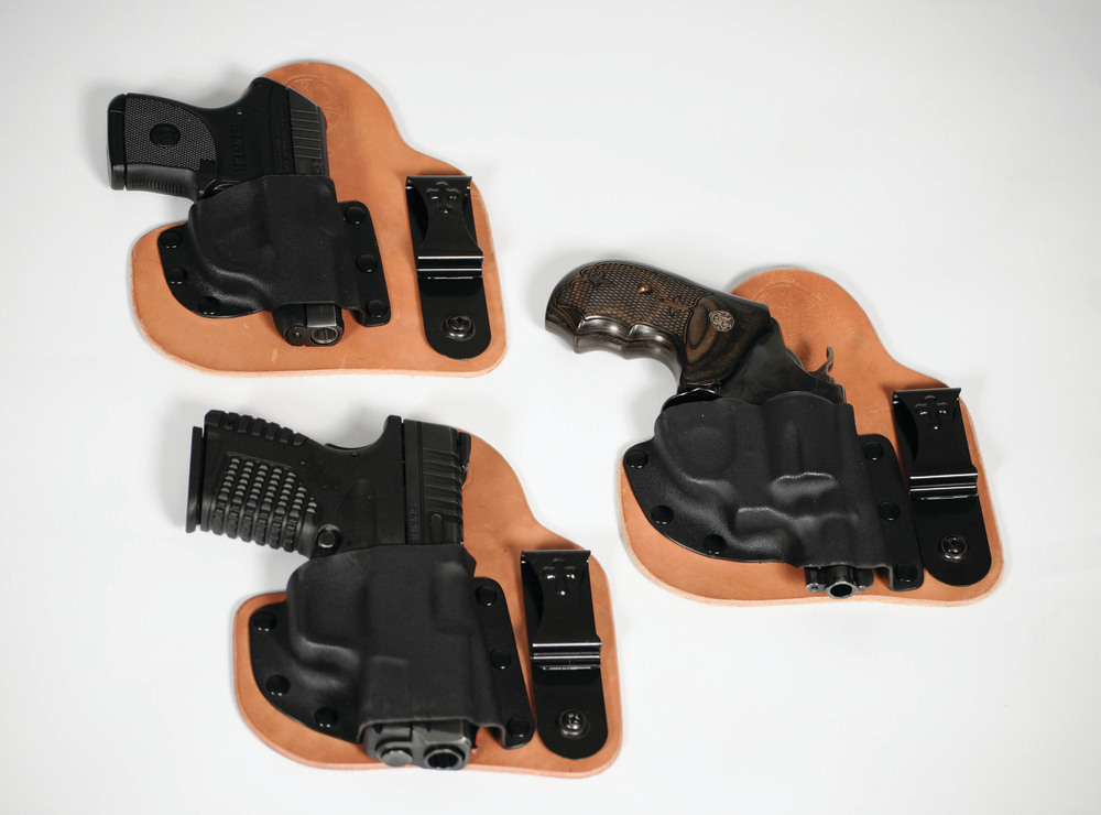 Appendix Holster Dsc 7547 2 10840138