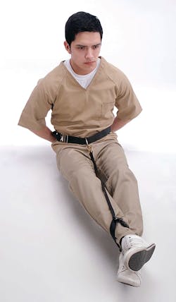 The Sitter 1 10850440 The Sitter 1 10850440