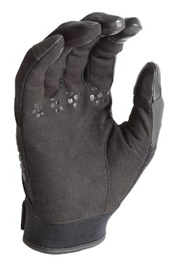 Cts100 Palmcropped 10880332 Cts100 Palmcropped 10880332