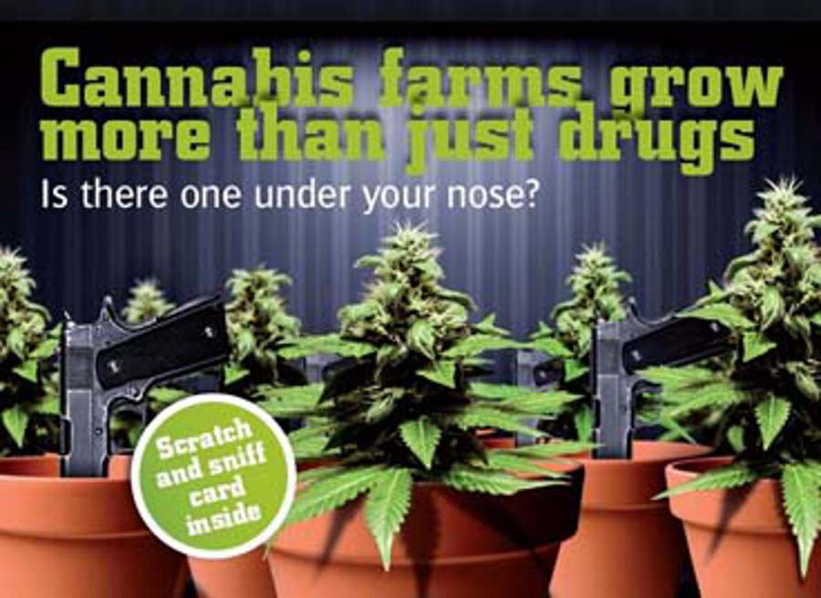 The cards contain a chemical that replicates the smell of the plants when they are growing.