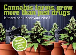 The cards contain a chemical that replicates the smell of the plants when they are growing. The cards contain a chemical that replicates the smell of the plants when they are growing.