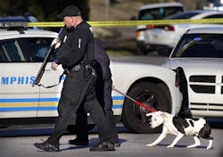 Officers remove a pit bull from the scene after a Memphis Police Officer was shot in the leg on March 5. Officers remove a pit bull from the scene after a Memphis Police Officer was shot in the leg on March 5.
