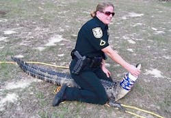 Lake County Sheriff&apos;s Deputy Jessica McGregor wrestled the gator in front of the Clermont Middle School campus on March 21.