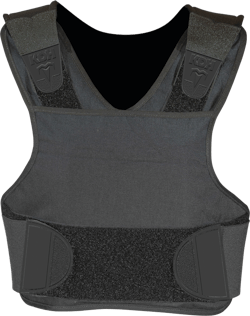 Transformer Covertspeedplateca 10894248 Transformer Covertspeedplateca 10894248