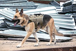 K9gs 0721 10918690 K9gs 0721 10918690