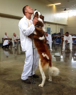 Photo7 10914511 Photo7 10914511