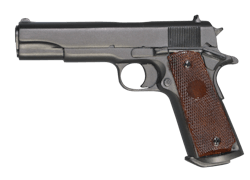 Img 6853 10948125 Img 6853 10948125