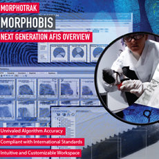 Thumbnailmorphobis5esuerxmfpky 10952494