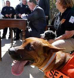 Alabama Gov. Robert Bentley applies his signature to a bill that will provide penalties for injuring or interfering with police or rescue dogs outside the Capitol in Montgomery, Ala. on June 5. Alabama Gov. Robert Bentley applies his signature to a bill that will provide penalties for injuring or interfering with police or rescue dogs outside the Capitol in Montgomery, Ala. on June 5.