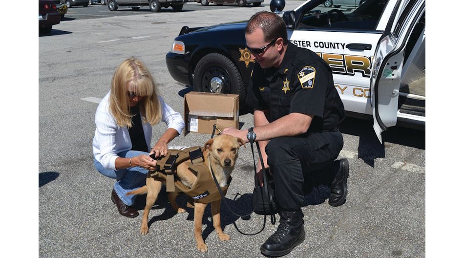 Kathy Doherty of Regency Police &amp; Fire Supply, left, and Worcester County Sheriff&apos;s Sgt. Tom Chabot check out the fit for K-9 Nikita&apos;s vest in West Boylston, Mass.