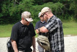 Discussing Design Features Ind 11080561 Discussing Design Features Ind 11080561