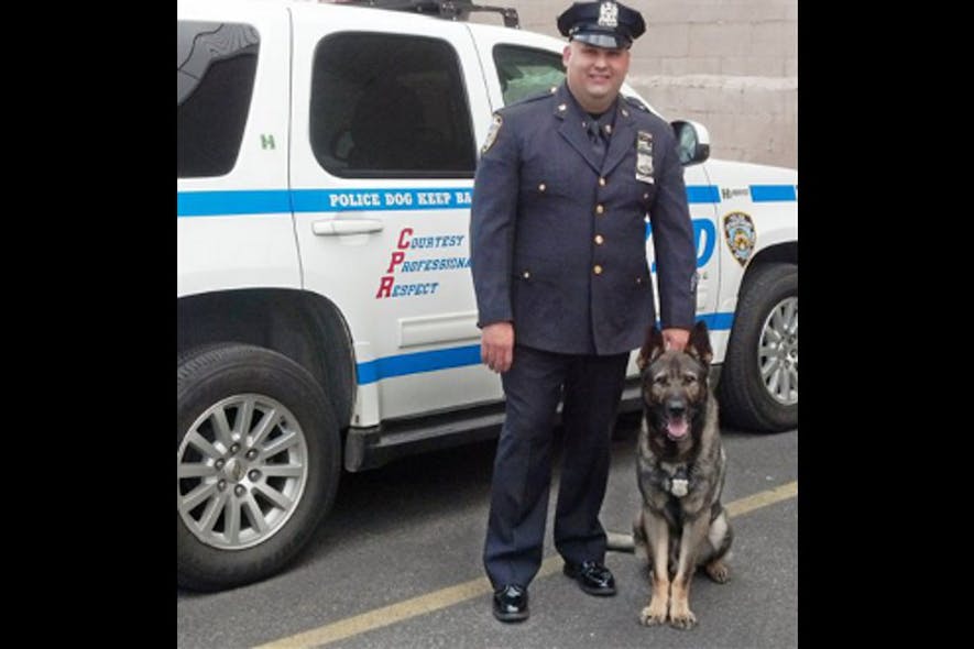 Officer Edwin Ramirez poses with his partner &apos;Diesel,&apos; a seven-year-old German shepherd.