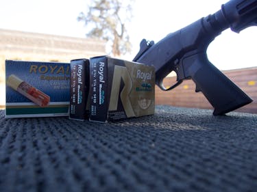 Next Level of Slugs in ballistic gel, Airgun Forum, Airgun Nation, Best  Airgun Site