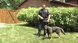 Sddefault 11117819 jpg Sddefault 11117819 jpg