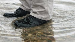 Altai Pic10 11147938 Altai Pic10 11147938