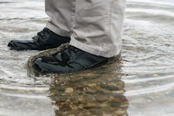 Altai Pic10 11147938 Altai Pic10 11147938