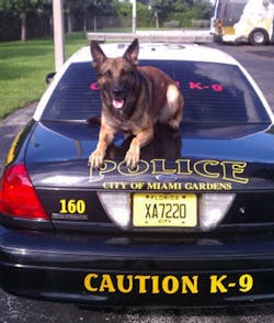 Max, a Miami Gardens Police Department K-9, died after being mortally injured investigating a burglary call on Sept. 12. Max, a Miami Gardens Police Department K-9, died after being mortally injured investigating a burglary call on Sept. 12.