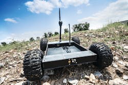 Sire 2643 11141819 Sire 2643 11141819