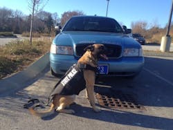 Eight police dogs of the Maine State Police Canine Unit are now outfitted with protective vests just like their human counterparts. Eight police dogs of the Maine State Police Canine Unit are now outfitted with protective vests just like their human counterparts.