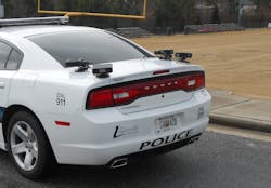 Dscn0185 Crop 11307240 Dscn0185 Crop 11307240