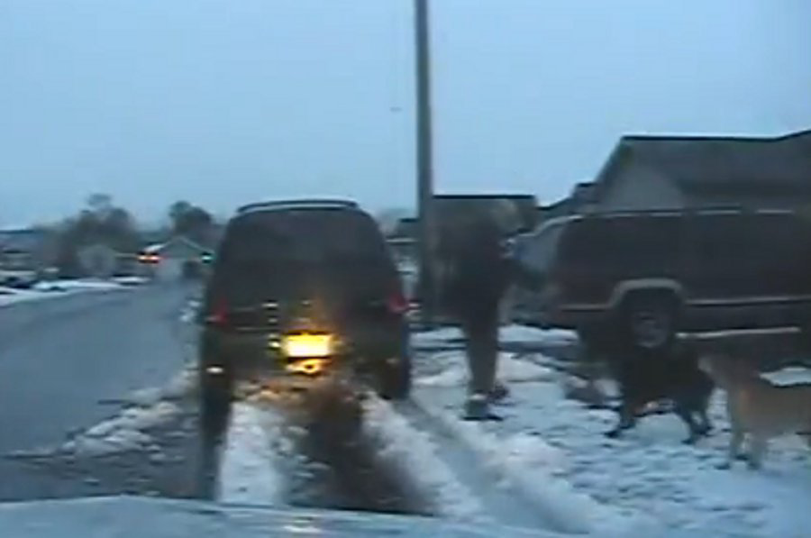 Filer, Idaho Police Officer Investigated in Fatal Shooting of Dog Officer