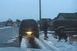 Filer Police Officer Tarek Hassani was placed Tuesday on administrative leave following Saturday's shooting death of a resident's dog Filer Police Officer Tarek Hassani was placed Tuesday on administrative leave following Saturday's shooting death of a resident's dog