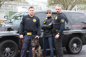 Paws In Park 11311344