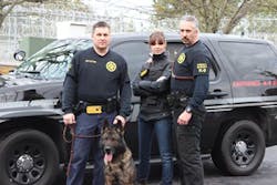 Paws In Park 11311344 Paws In Park 11311344